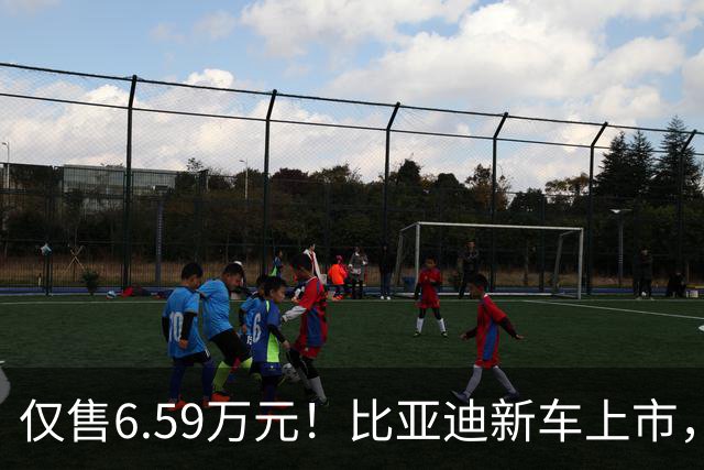 仅售6.59万元！比亚迪新车上市，这绝对是来捣乱的
